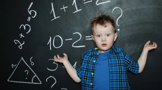 Júl. Rozvíjanie matematických predstáv u detí predškolského veku a projektové vyučovanie.